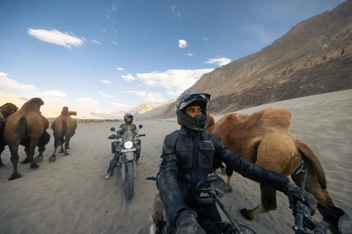Royal Enfield Himalayan 2024