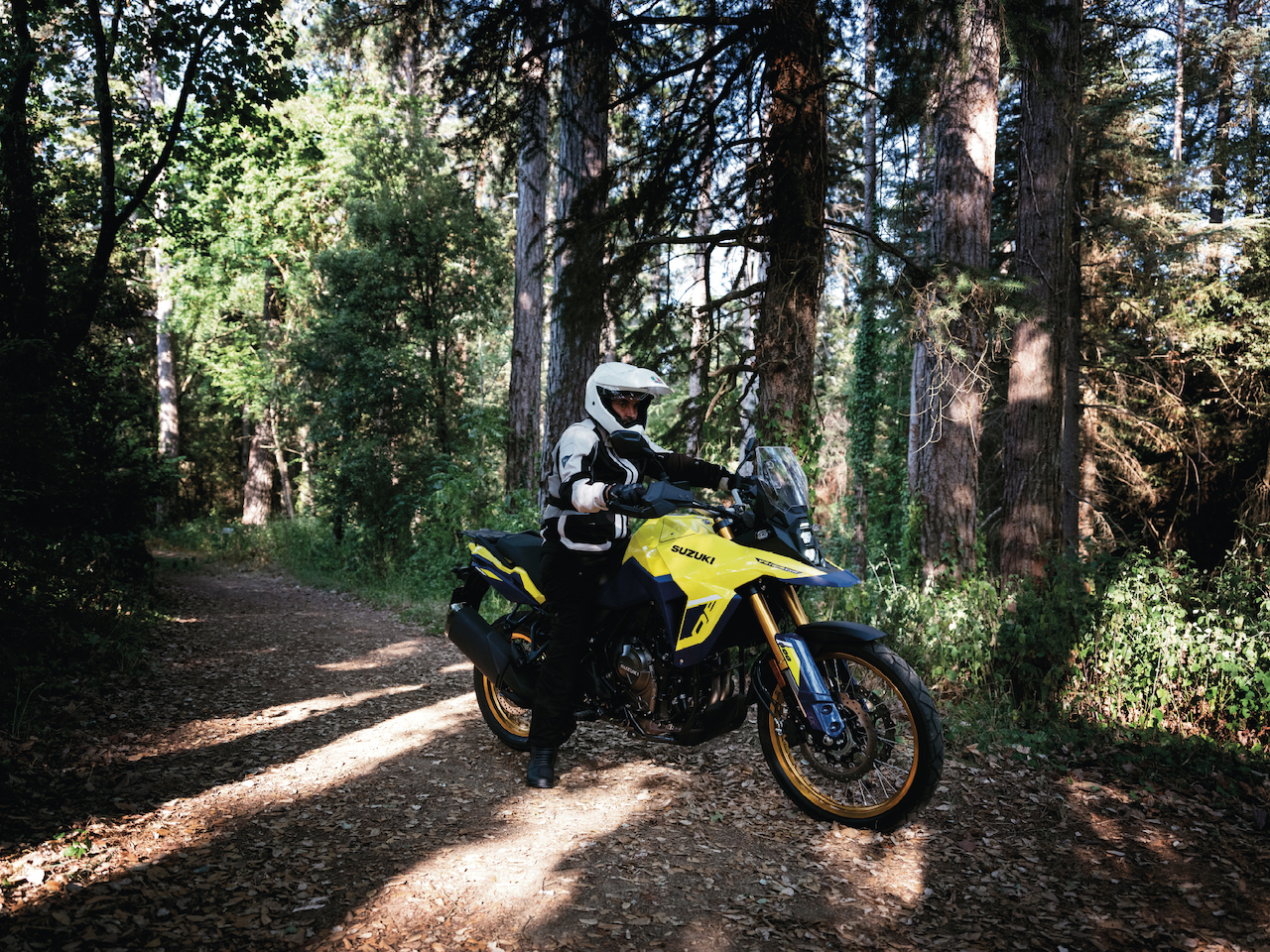 Suzuki V-Strom 800DE - foto 