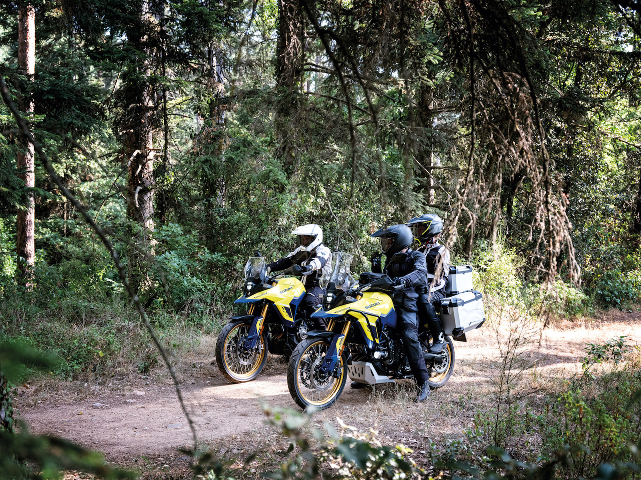 Suzuki V-Strom 800DE - foto 