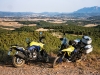 Suzuki V-Strom 800DE - foto 