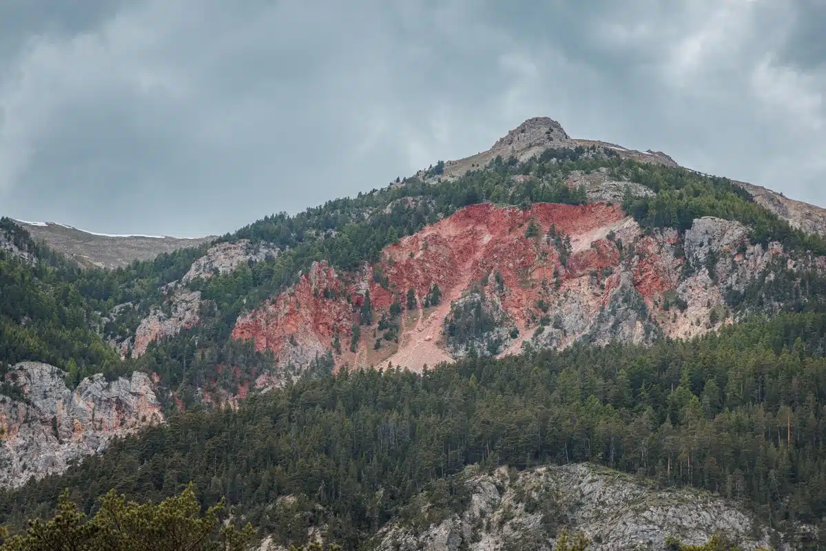 Suzuki V-Strom Day 2025