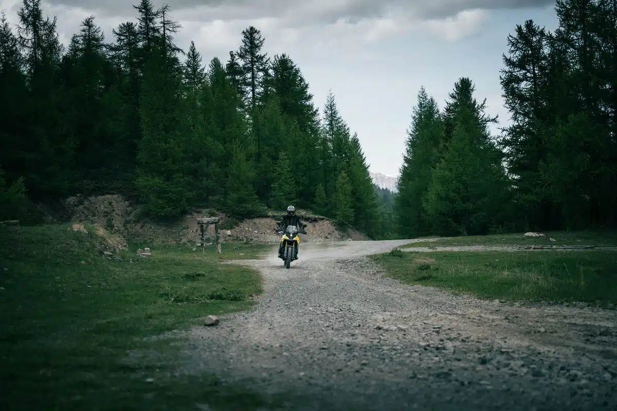 Suzuki V-Strom Day 2025