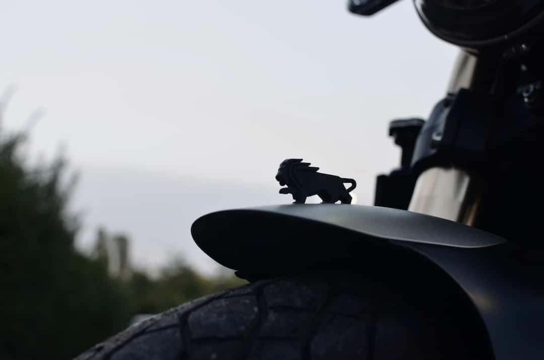 Test ride Benelli Leoncino 800