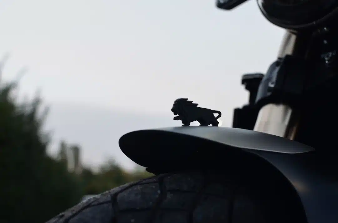 Test ride Benelli Leoncino 800