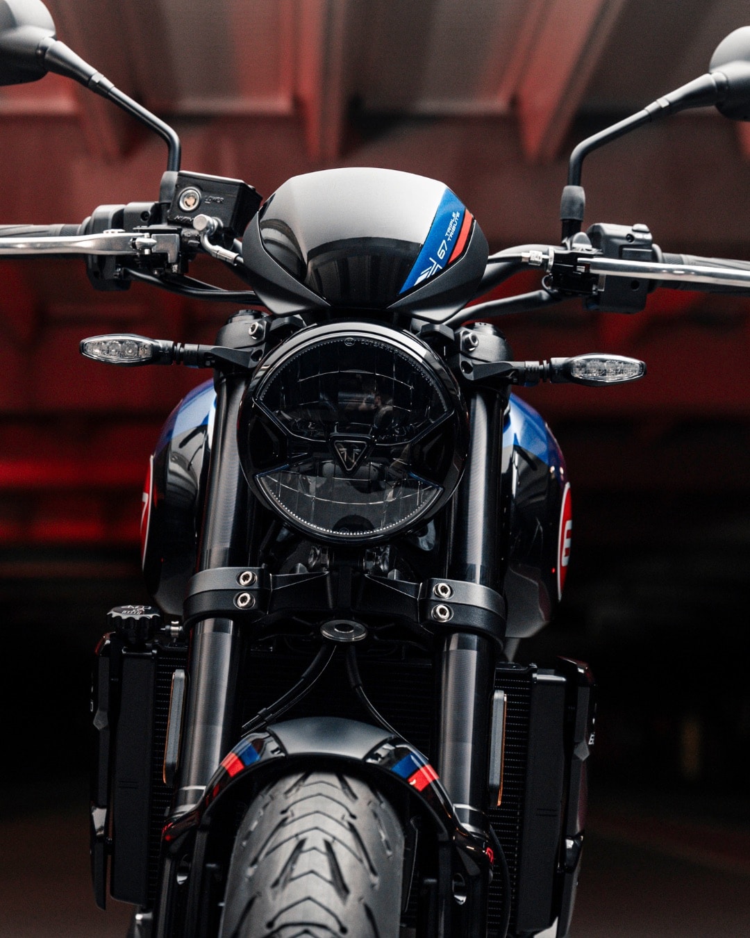 Trident 660 Triple Tribute Edition 2025 - Foto ufficiali