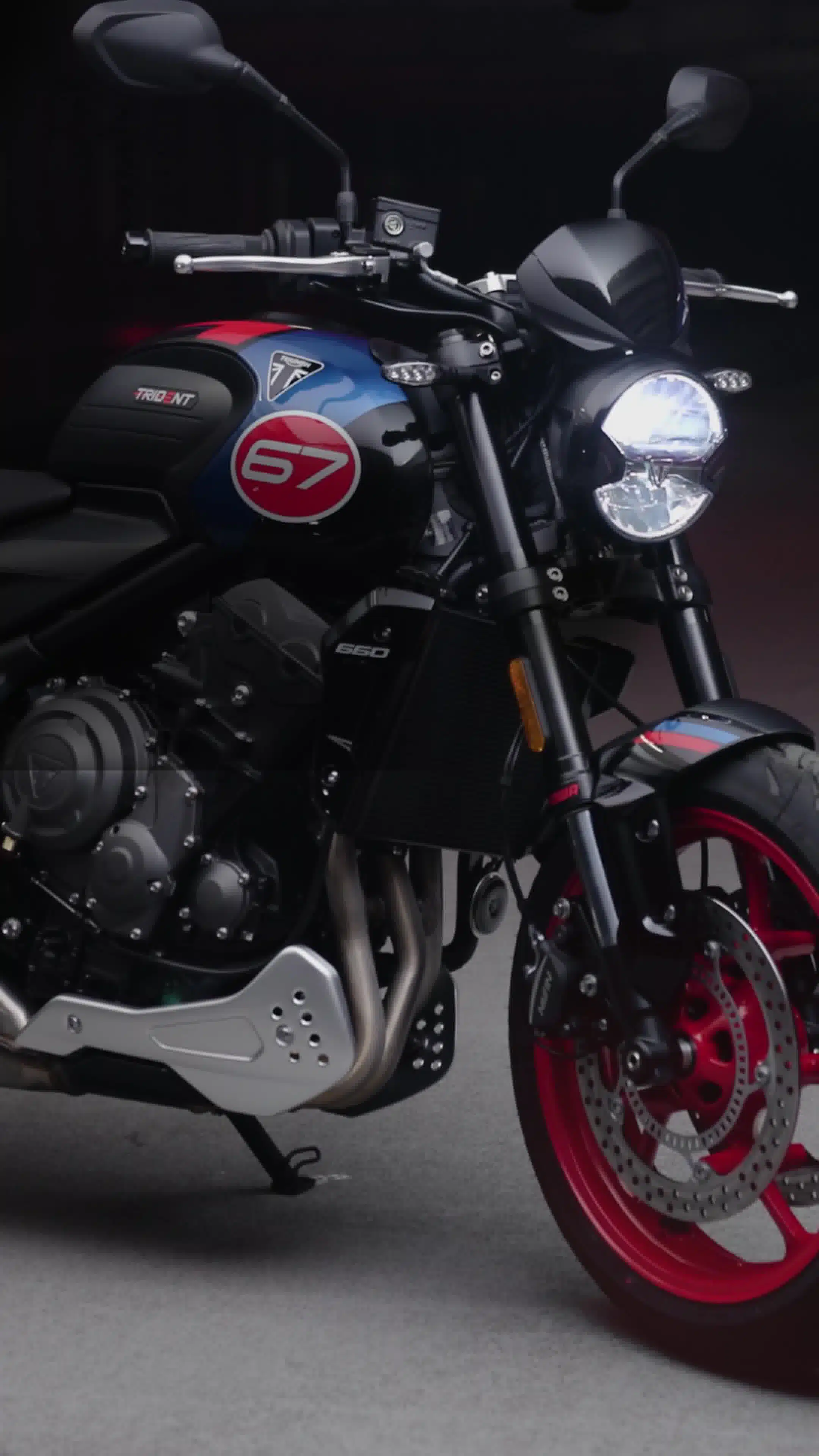 Trident 660 Triple Tribute Edition 2025 - Foto ufficiali