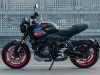 Trident 660 Triple Tribute Edition 2025 - Foto ufficiali