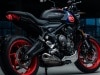 Trident 660 Triple Tribute Edition 2025 - Foto ufficiali