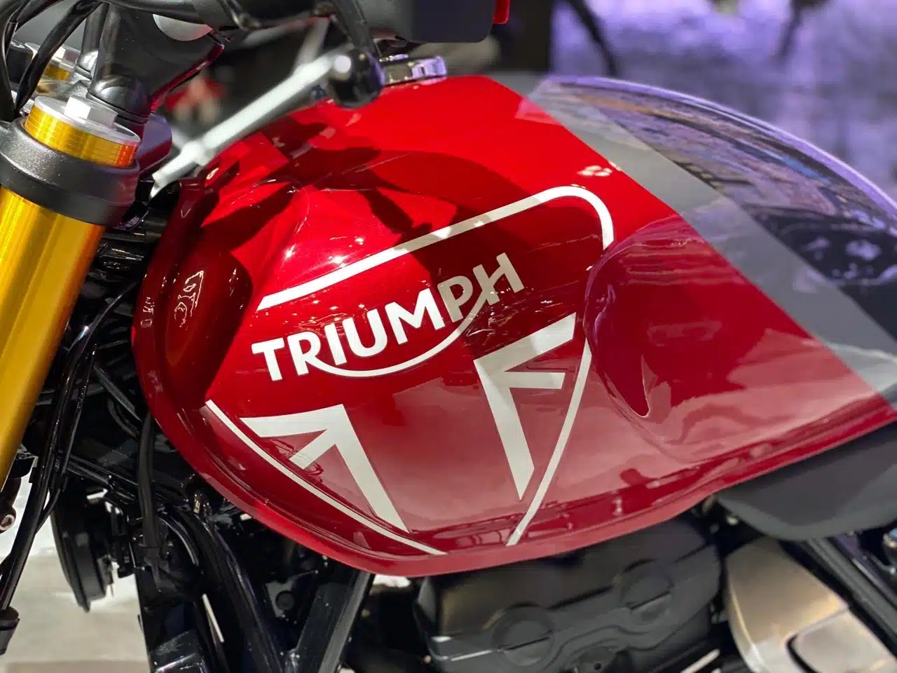 Triumph - EICMA 2023