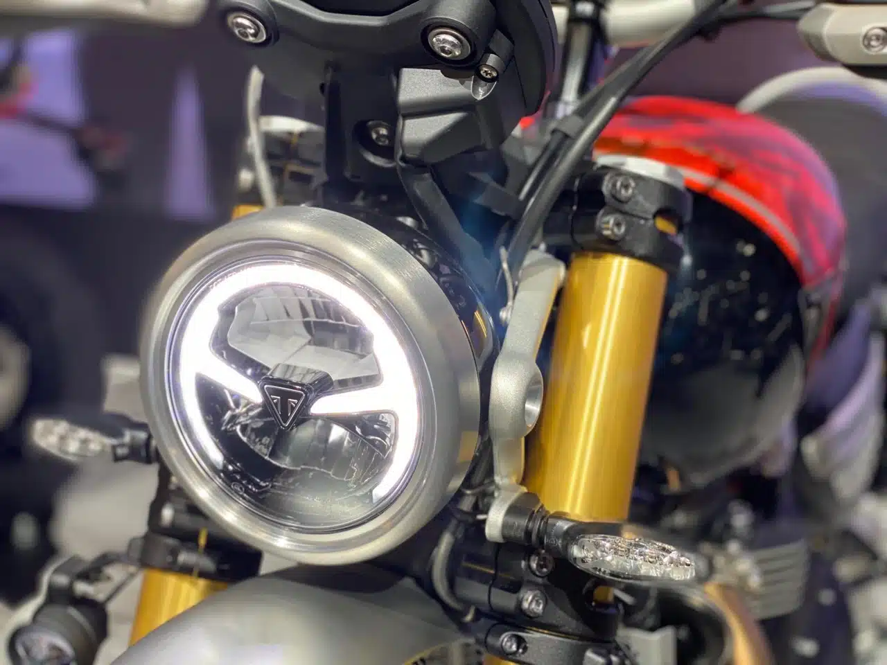 Triumph - EICMA 2023