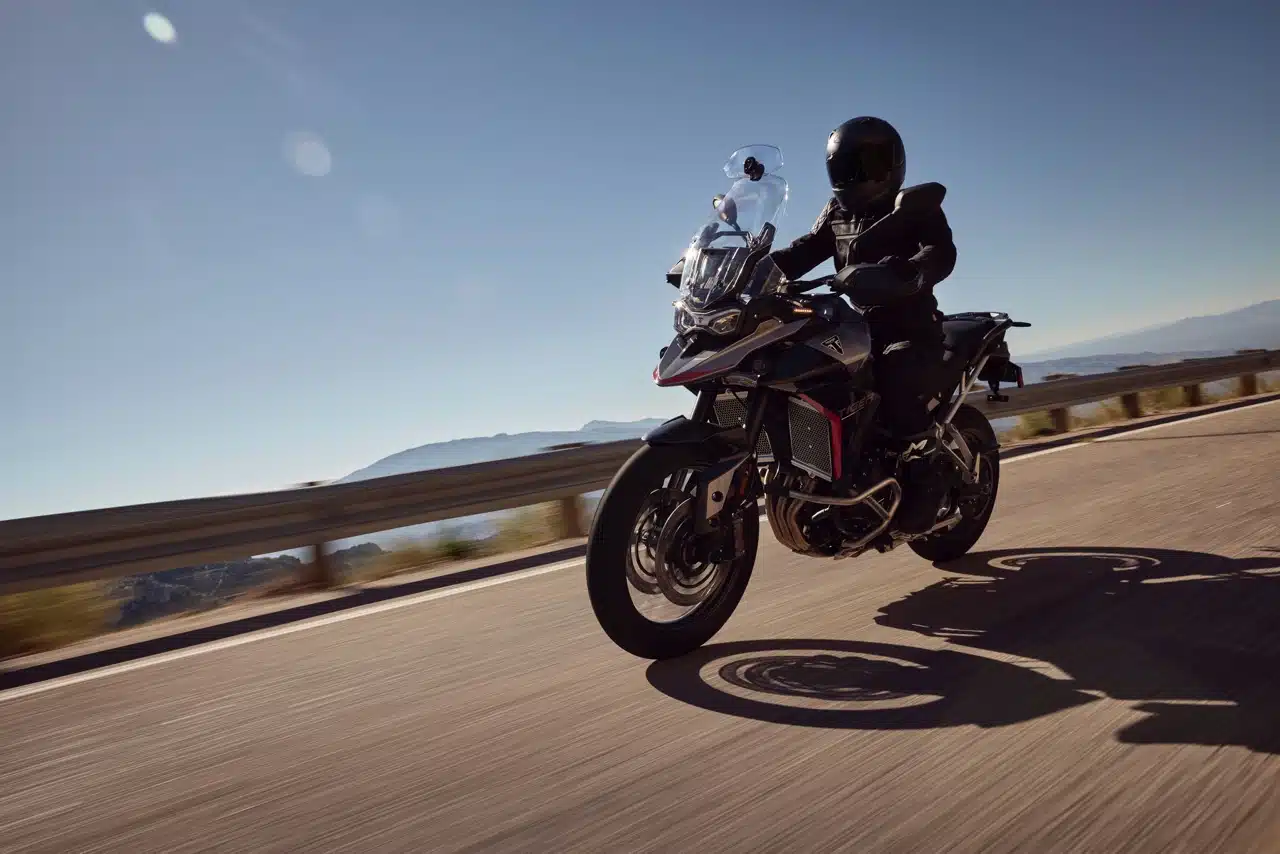 Triumph - Gamma 2024