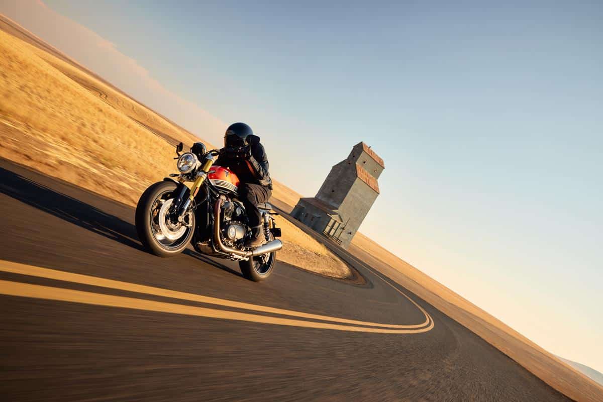 Triumph - Gamma 2025