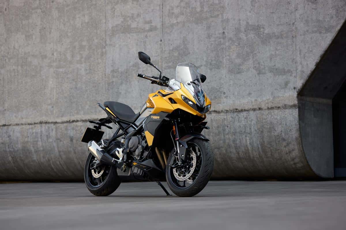Triumph - Gamma 2025