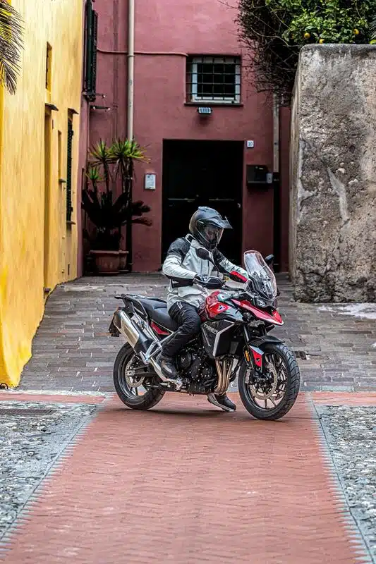 Triumph - Gamma 2025