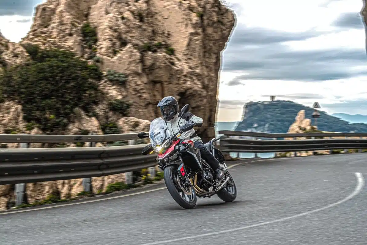 Triumph - Gamma 2025