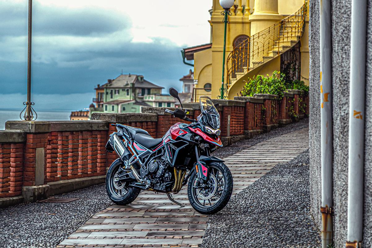 Triumph - Gamma 2025