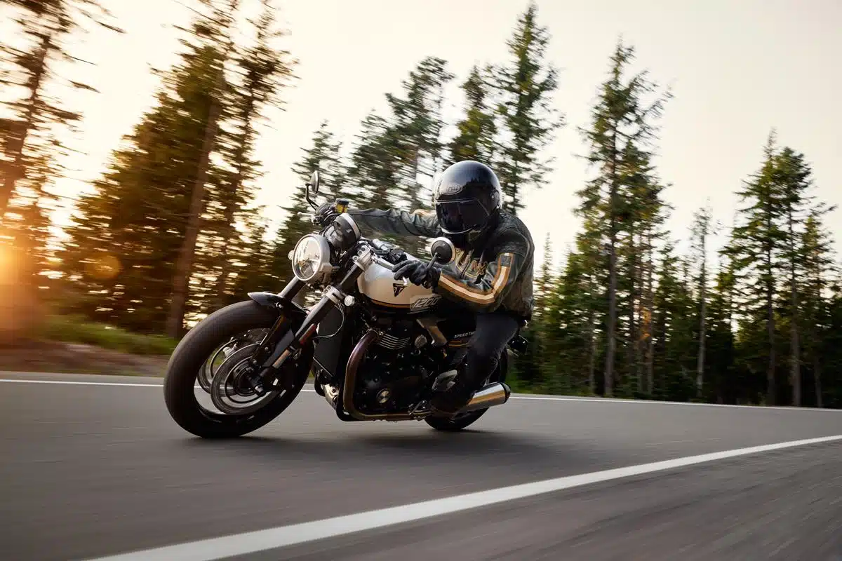 Triumph - Gamma 2025