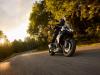 Triumph - Gamma 2025
