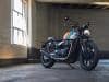 Triumph - Gamma 2025