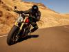 Triumph - Gamma 2025