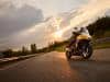 Triumph - Gamma 2025