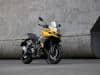 Triumph - Gamma 2025