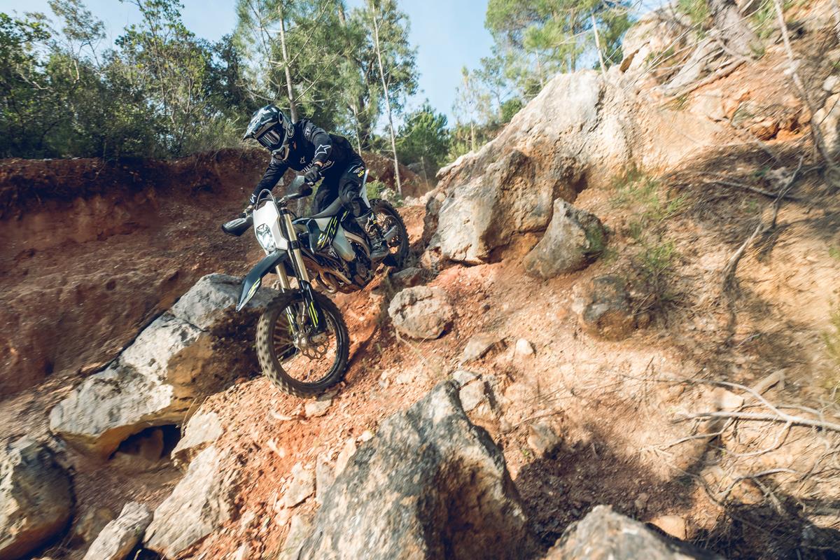 Triumph TF 250-E e TF 450-E