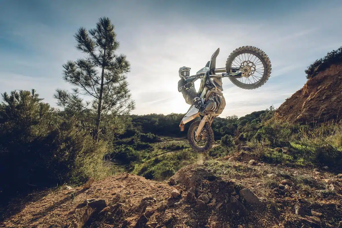 Triumph TF 250-E e TF 450-E