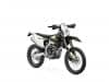 Triumph TF 250-E e TF 450-E