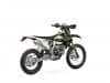 Triumph TF 250-E e TF 450-E
