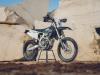 Triumph TF 250-E e TF 450-E