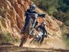 Triumph TF 250-E e TF 450-E
