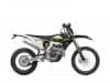 Triumph TF 250-E e TF 450-E
