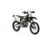 Triumph TF 250-E e TF 450-E
