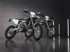 Triumph TF 250-E e TF 450-E