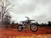 Triumph TF 450-RC Edition - Foto ufficiali