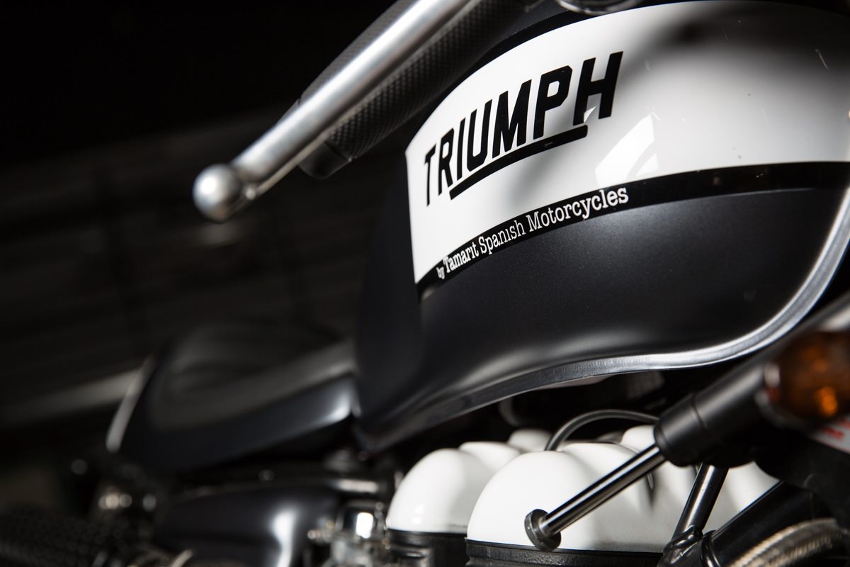 Triumph Thruxton by Tamarit