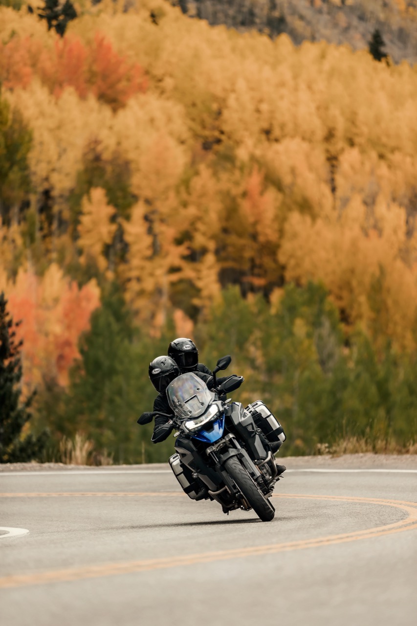 Triumph Tiger  1200 - gamma 2022  