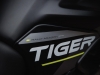 Triumph Tiger 900 Aragon Edition 