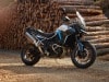 Triumph Tiger Alpine e Desert Edition - Foto ufficiali
