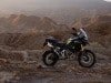 Triumph Tiger Alpine e Desert Edition - Foto ufficiali