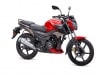 TVS Motor in Italia