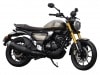 TVS Motor in Italia