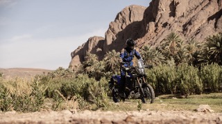 Yamaha Tenere 700 World Raid - foto 2022 