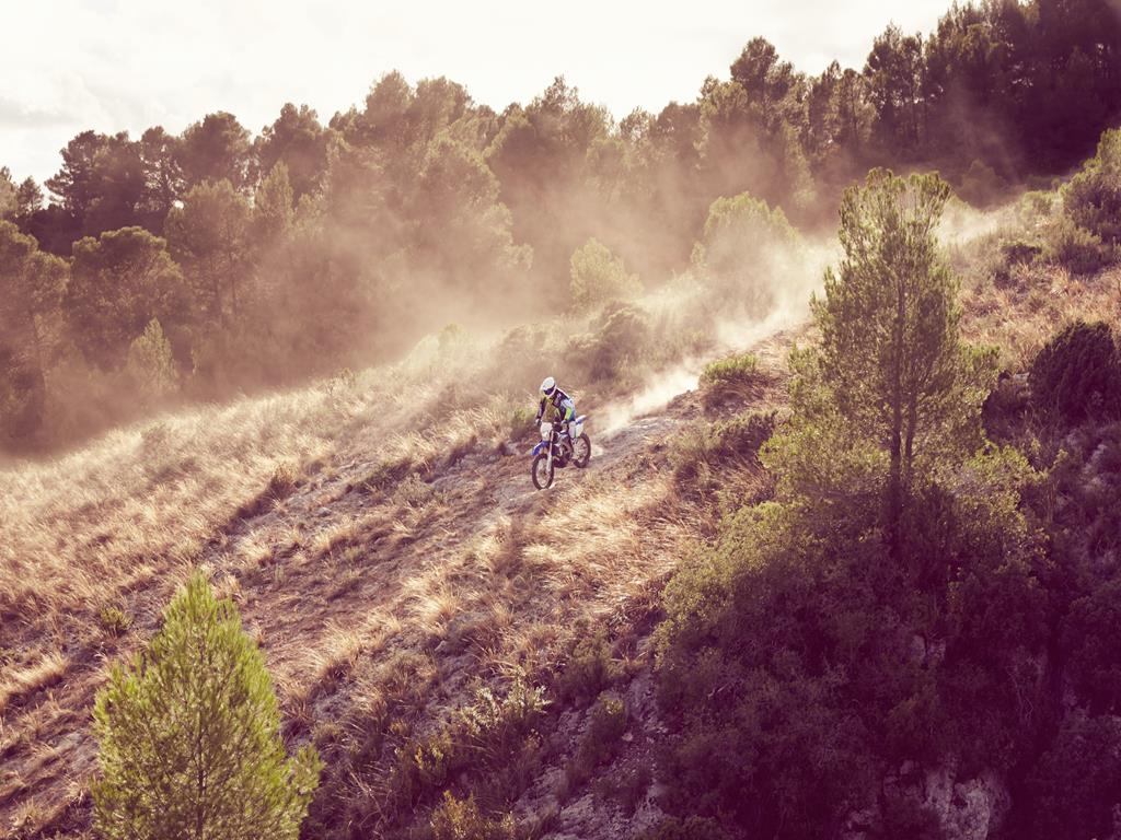 Yamaha WR450F MY 2016