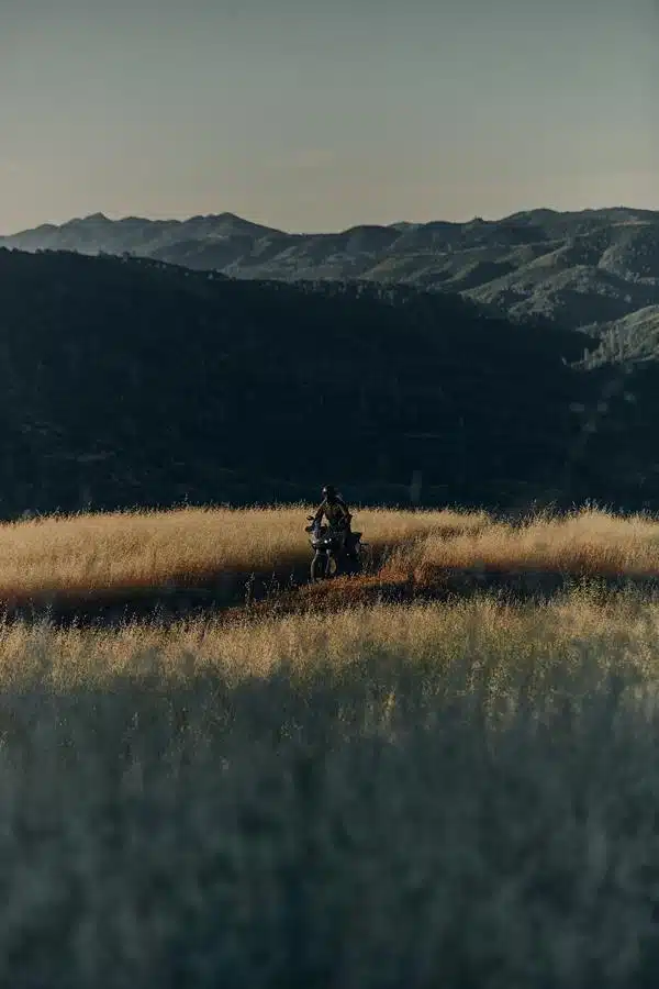 Zero Motorcycles 2024