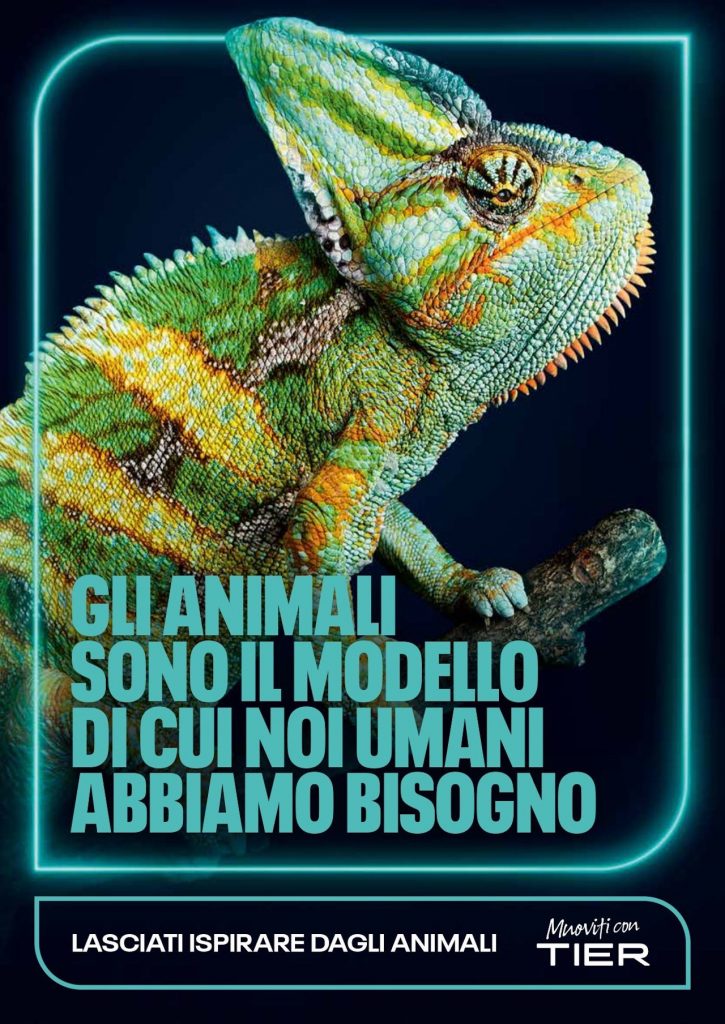 TIER: anche in Italia la nuova campagna “Lasciati ispirare dagli animali”